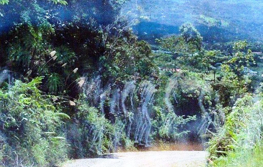 660 Koleksi Cerita Hantu Tentara Jepang Terbaik