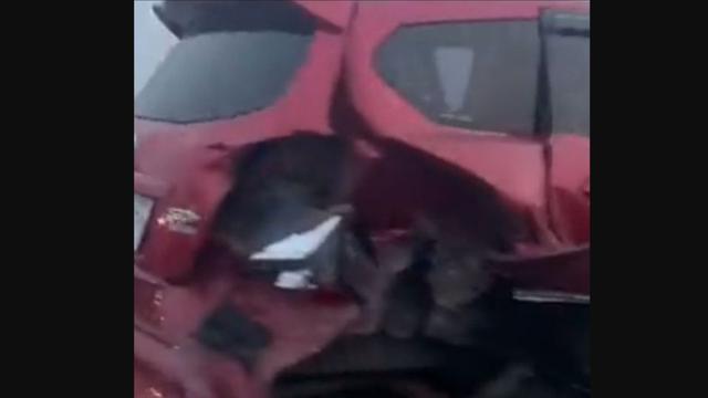 Kecelakaan beruntun melibatkan tujuh kendaraan terjadi di Tol Layang Sheikh Mohammed Bin Zayed (Tol MBZ) Tol Jakarta-Cikampek pada Sabtu 9 September 2023 diduga disebabkan oleh mobil yang dikendarai anggota TNI.