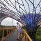 Orang-orang mengunjungi OCBC Skywalk Supertree Grove pada hari pertama pembukaan kembali lokasi wisata tersebut di Gardens by the Bay Singapura pada 7 September 2020. (Xinhua/Then Chih Wey)