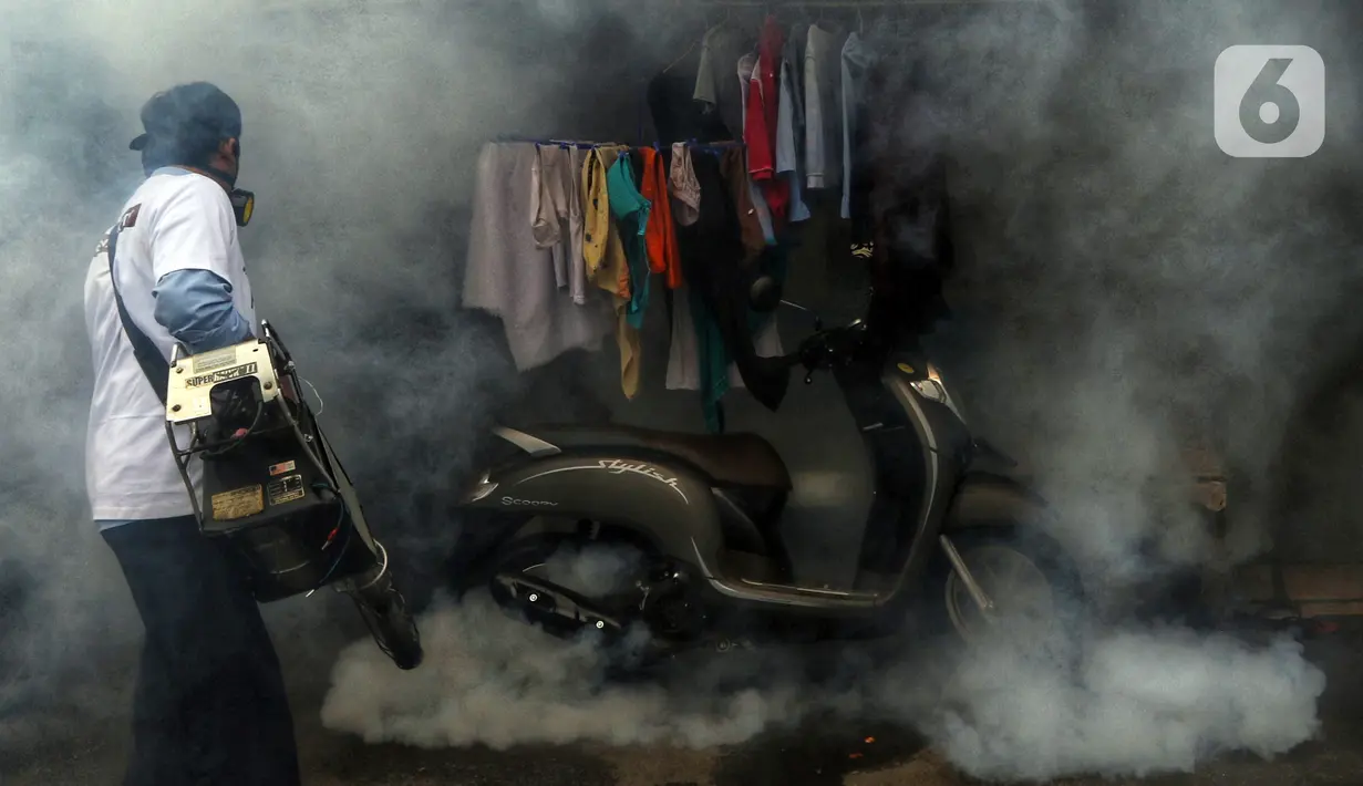 Petugas melakukan pengasapan atau fogging untuk membasmi nyamuk demam berdarah dengue (DBD) di kawasan Kebayoran Lama, Jakarta Selatan, Kamis (14/11/2019). Fogging dilakukan untuk mengantisipasi perkembangbiakan nyamuk DBD. (Liputan6.com/JohanTallo)