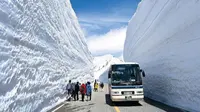 Rasakan Sensasi Melewati Koridor Salju Setinggi 17 Meter di Jepang