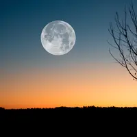 ilustrasi bulan/Photo by David Besh from Pexels