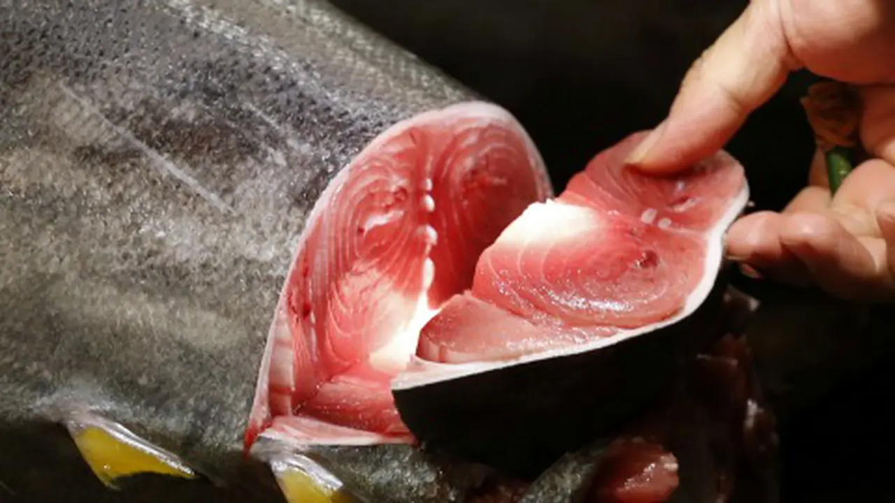 Makan Seafood Bisa Kurangi Risiko Depresi
