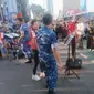 Orchestra Swa Bhuana Paksa Tentara Nasional Indonesia Angkatan Udara (TNI AU) menggelar pertunjukan musik di kawasan Bundaran Hotel Indonesia (HI) Jakarta Pusat. Acara ini digelar di sela-sela kegiatan Car Free Day (CFD), Minggu (11/8/2024). (Tim News).