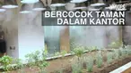 Konsep hijau diterapkan di kantor ini. Tanaman padi hingga tanaman sayur tumbuh subur dan dapat dipanen karyawannya