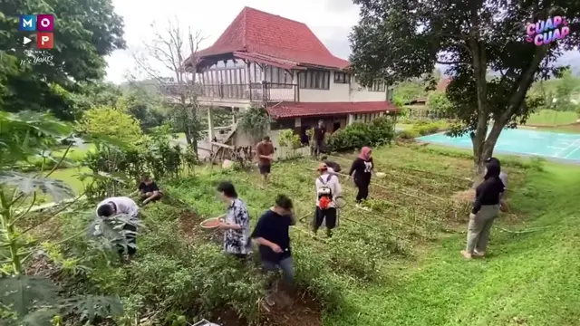 Ruben Onsu Panen Cabai Segar, Kini Mulai Jajal Berkebun