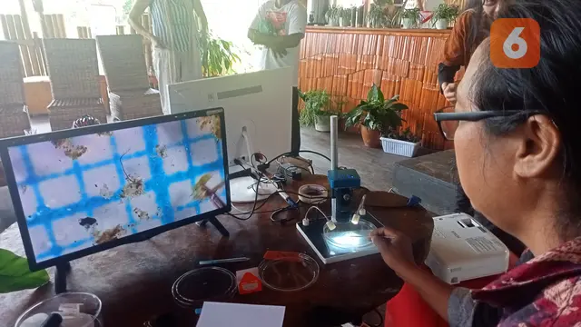 Pemeriksaan sampel air Danau Poso oleh peneliti Ekspedisi Sungai Nusantara