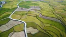 Foto hasil bidikan dari udara yang diabadikan pada 2 September 2020 ini menunjukkan petak-petak sawah di Desa Shanghua di Kota Gaoniang, Wilayah Tianzhu, Prefektur Otonom Etnis Miao dan Dong Qiandongnan, Provinsi Guizhou, China barat daya. (Xinhua/Yang Wenbin)