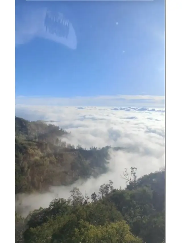 Viral Warung Kopi di Atas Awan Gunung Bromo, Sajikan Pemandangan Memukau