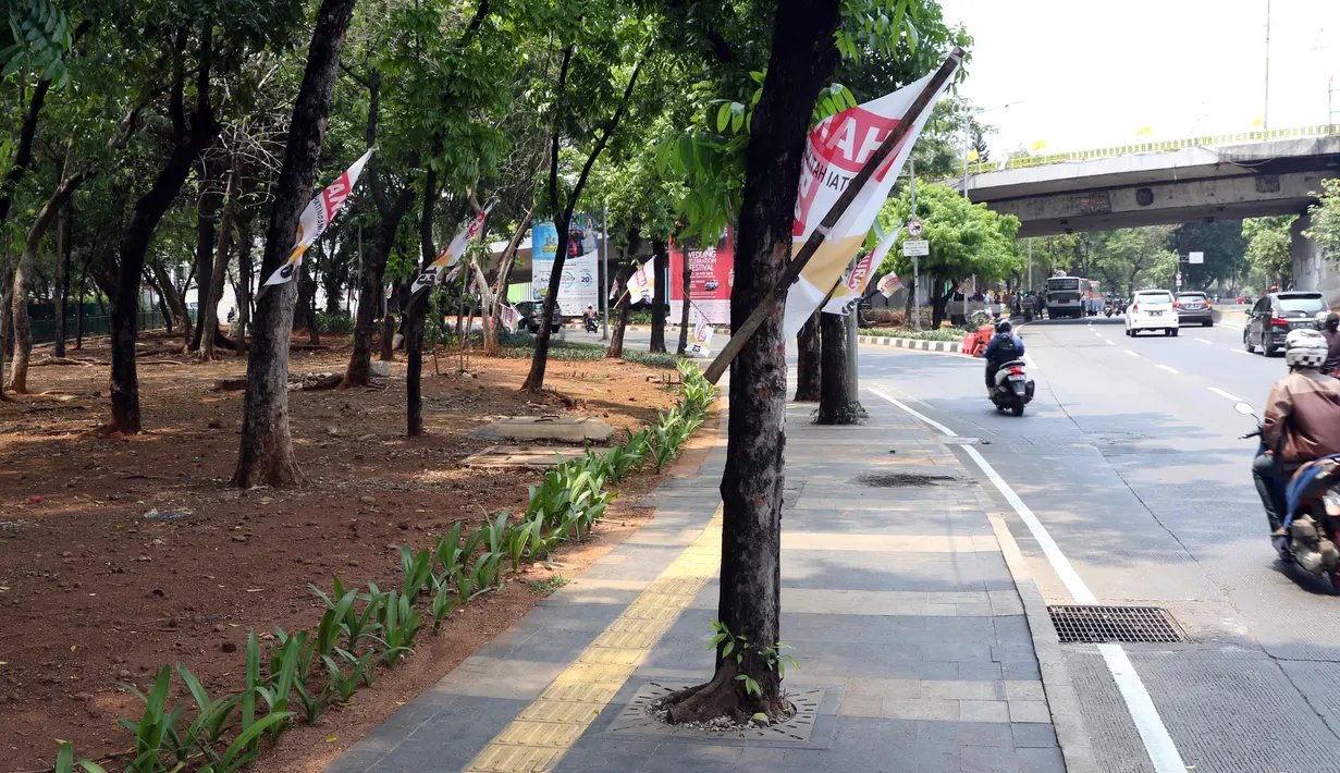 Potongan bamboo alat pengibaran bendera terpaku di batang pohon di kawasan Jalan Gatot Subroto, Jakarta, Kamis (21/11/2019). Setiap 21 November diperingati sebagai Hari Pohon Sedunia, hal ini untuk mengingatkan masyarakat akan manfaat tanaman bagi kehidupan. (Liputan6.com/Helmi Fithriansyah)