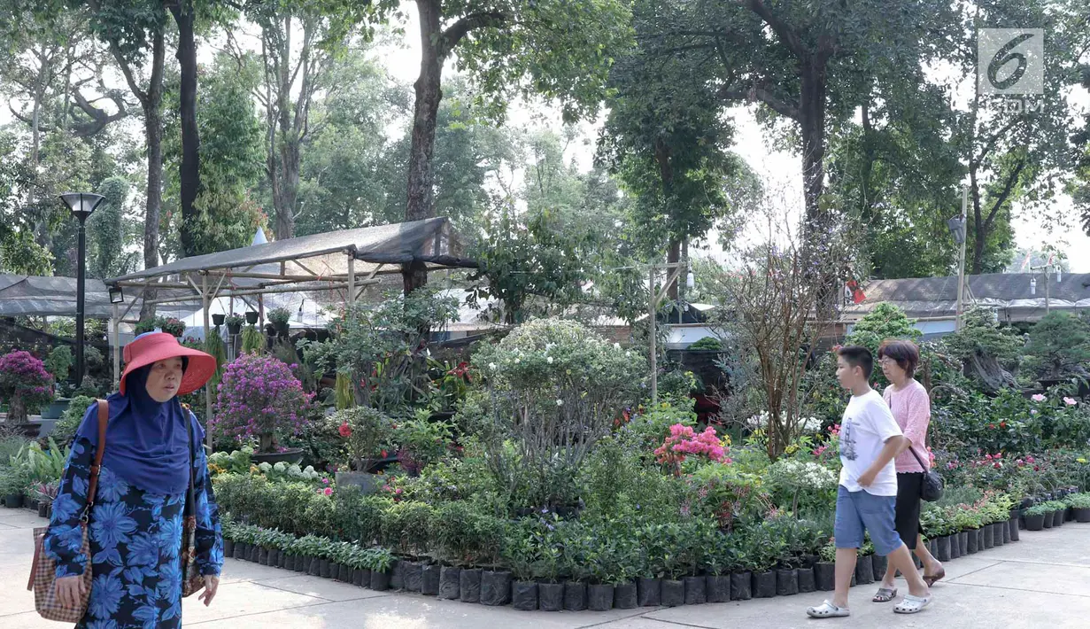 Pengunjung melihat-lihat tanaman yang dijual dalam pameran Flora dan Fauna 2018 di Taman Lapangan Banteng, Jakarta, Selasa (21/7). Pameran menampilkan berbagai jenis tanaman dan hewan. (Liputan6.com/Immanuel Antonius)
