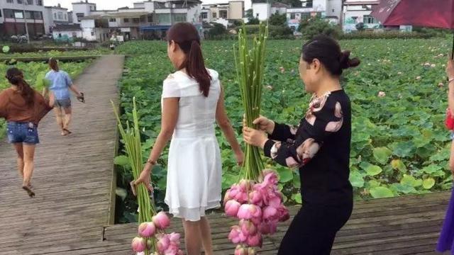 Ramai Pengunjung, Alasan Ditutupnya Taman Bunga Ini Bikin Geleng Kepala