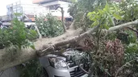 Sebuah mobil tertimpa pohon tumbang di Jalan MA Salmun, Kota Bogor, Senin (7/3/2022) pagi. Pohon tersebut tumbang akibat diterjang angin kencang. (Liputan6.com/Achmad Sudarno)