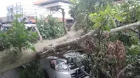 Sebuah mobil tertimpa pohon tumbang di Jalan MA Salmun, Kota Bogor, Senin (7/3/2022) pagi. Pohon tersebut tumbang akibat diterjang angin kencang. (Liputan6.com/Achmad Sudarno)