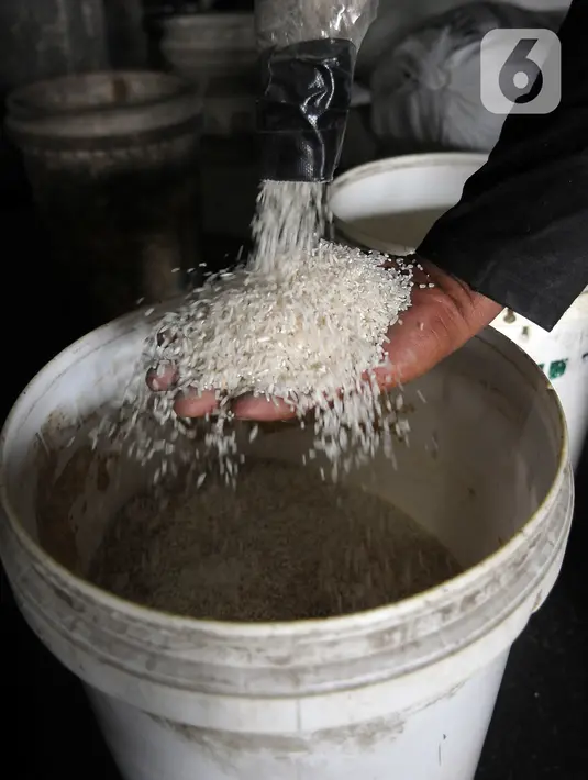 Harga tersebut lebih tinggi dari harga acuan pemerintah sebesar Rp 5.000 per kilogram. (merdeka.com/Imam Buhori)