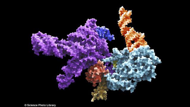 Terkuak Petunjuk Pembentukan Bumi Lewat Molekul