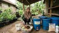 6 Cara Membuat Pupuk Organik Sisa Dapur untuk Menyuburkan Tanaman
