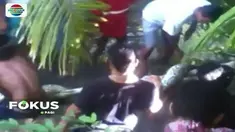 Ular piton berukuran besar kembali ditemukan warga Muna, Sulawesi Tenggara. Ular dengan panjang lebih dari 7 meter tersebut ditemukan di Desa Langkumapo, tengah menyeberang sebuah sungai.