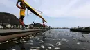 Atlet dayung usai melakukan latihan diantara ribuan ikan mati di arena latihan atlet dayung Laguna Rodrigo de Freitas, Rio de Janeiro, Brasil, Senin (13/4/2015). Ikan-ikan ini  mati akibat air laut dingin yang masuk ke Laguna. (REUTERS/Ricardo Moraes)