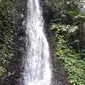 Curug Bandung, sepasang terjun di Limbangan, Wanareja, Cilacap, Jawa Tengah. (Foto: Liputan6.com/Muhamad Ridlo)