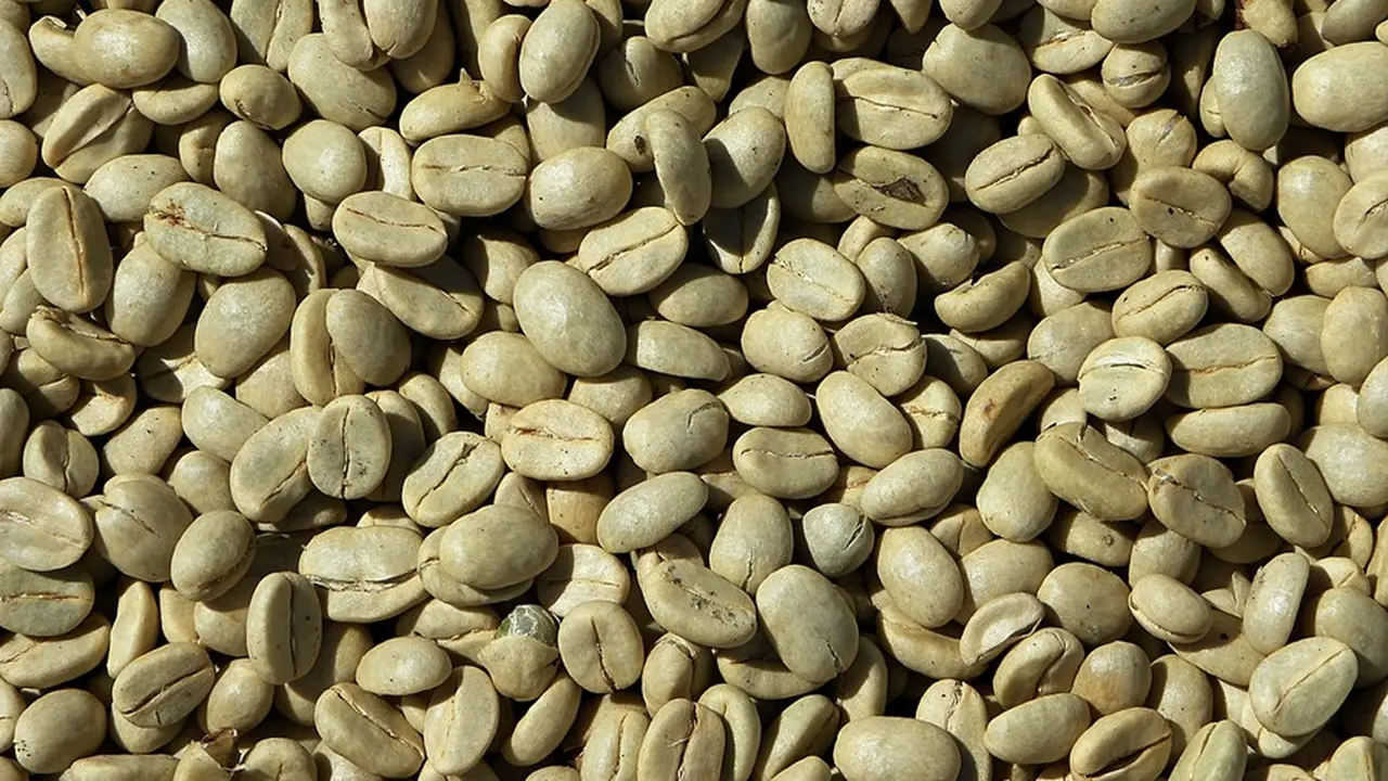 Cara Membuat Kopi Hijau