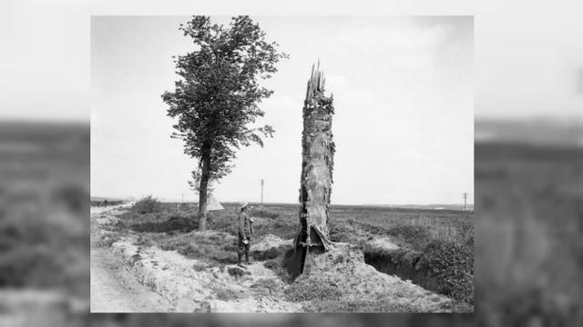 Penyamaran perang (2)