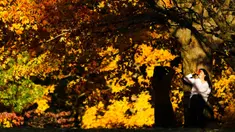 Seseorang berpose pada sore musim gugur di Taman Sejarah Nasional Valley Forge, Valley Forge, Pennsylvania, Amerika Serikat, 1 November 2021. Musim gugur umumnya terjadi sekitar bulan Agustus hingga Oktober. (AP Photo/Matt Rourke)