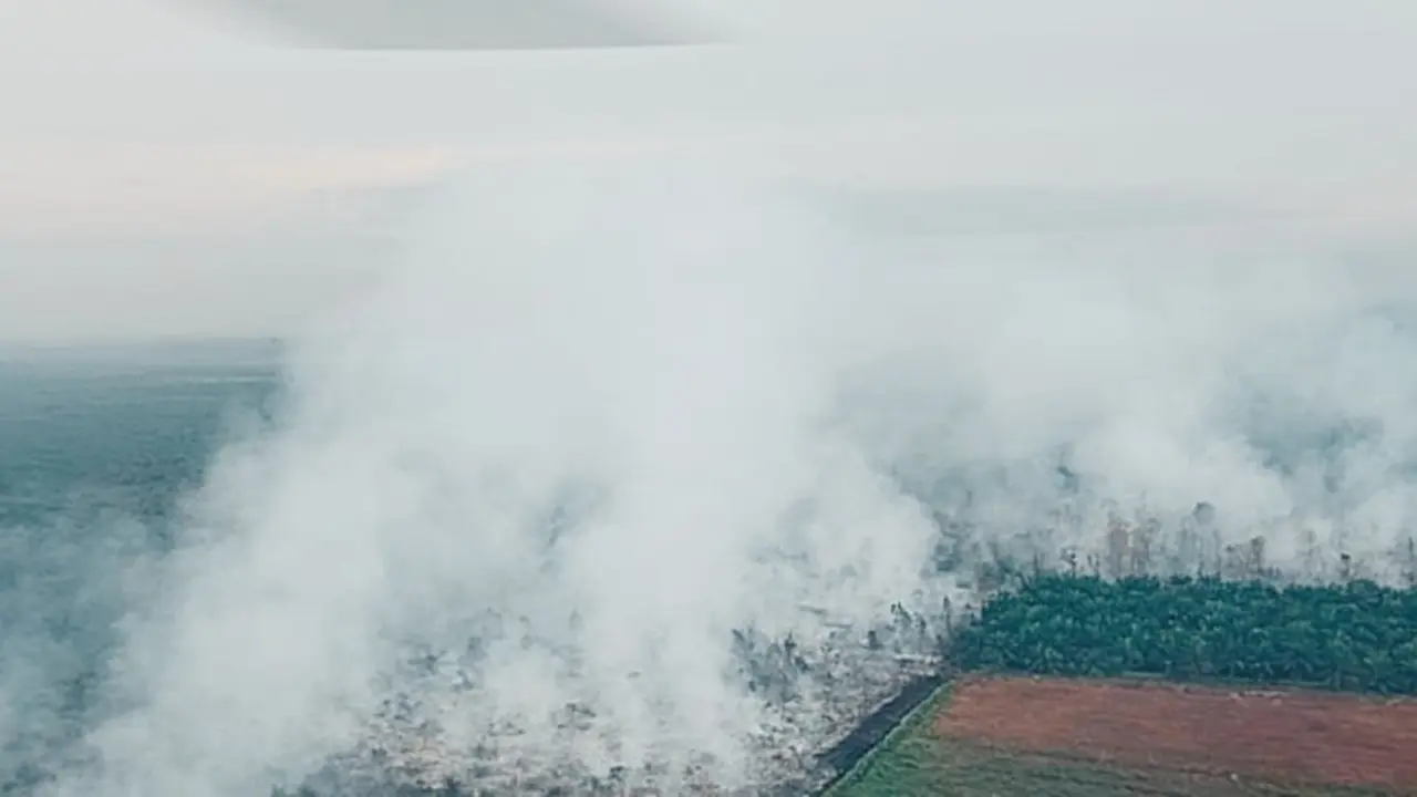 Kebakaran lahan di Riau beberapa waktu lalu yang menimbulkan kabut asap pekat ke udara.