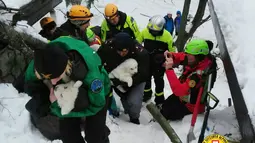 Tiga ekor anak anjing berhasil diselamatkan petugas setempat dari reruntuhan Hotel Rigopiano di Farindola, Italia (23/1). Kemungkinan besar longsoran tersebut akibat gempa mengguncang wilayah tengah Abruzzo sehari sebelumnya. (Handout / CNSAS / AFP)