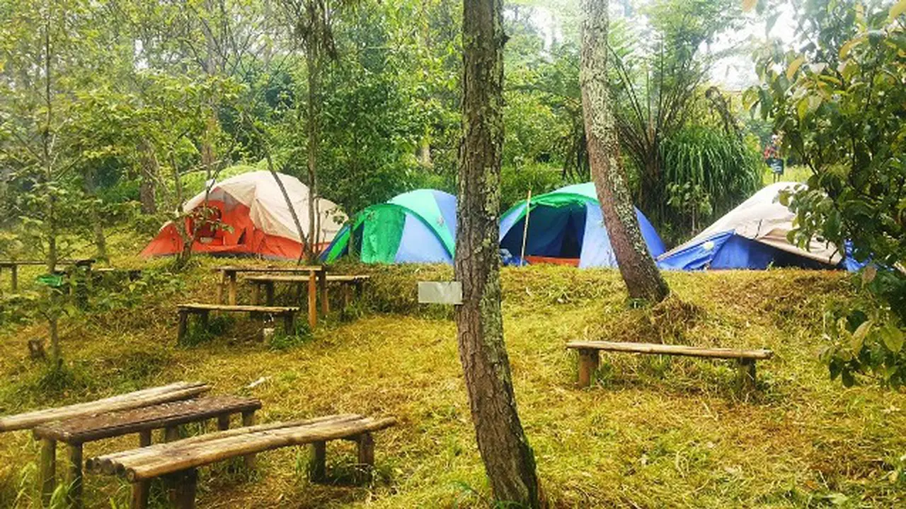 Bumi Perkemahan Sarongge, Bukan Sekadar Kemah Biasa