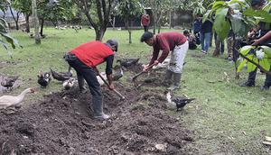 Satuan Pelayanan Pemenuhan Gizi (SPPG) Jimmy Hantu Foundation menerapkan prinsip zero waste dalam Program Makan Bergizi Gratis (MBG) di 25 sekolah di Bogor, Jawa Barat. (Foto: Liputan6.com/Winda Nelfira).