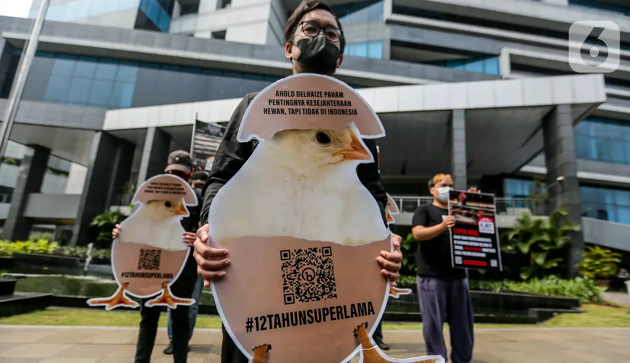 Menurut Otoritas Keamanan Pangan Eropa, peternakan yang menggunakan kandang baterai lebih rentan terkontaminasi bakteri salmonella yang dapat menimbulkan berbagai ancaman bagi kesehatan masyarakat, dibandingkan dengan peternakan tanpa kandang baterai. (Liputan6.com/Faizal Fanani)