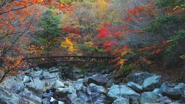 [reservasi]korea-negeri dongeng