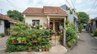 6 Ide Kebun Sayur untuk Rumah Type 36 dengan Lahan Terbatas, Praktis dan Hemat Tempat