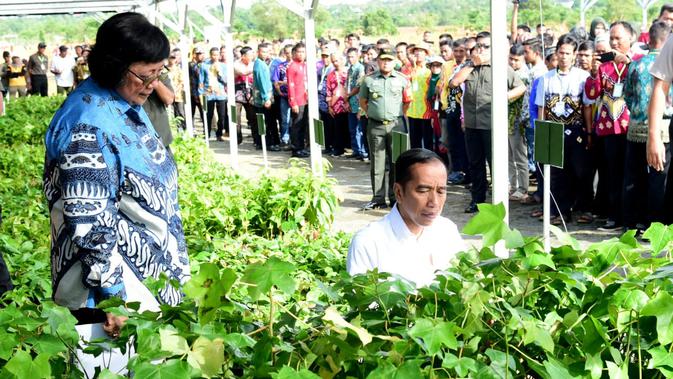 Presiden Jokowi di peringatan Hari Pers Nasional (HPN) 2020, Sabtu (8/2/2020). (Biro Pers Istana)