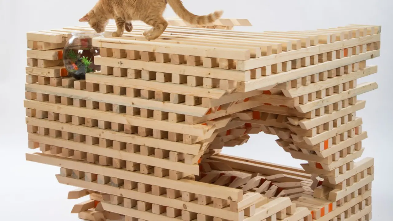 Rumah.com Desain Rumah Kucing yang Unik