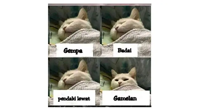 7 Meme Cara Bangun Mendadak dari Tidur, Bikin Ikut Mengangguk