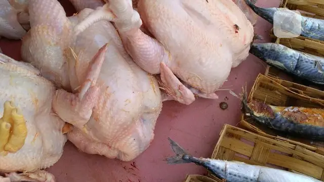 Daging ayam broiler