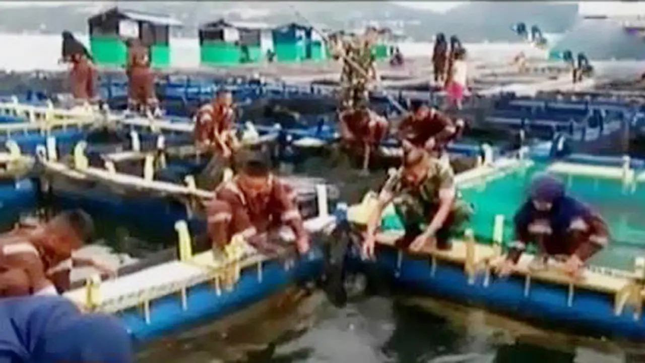 Program Masyarakat Maluku hingga Celoteh Balita Lucu