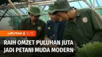 Siapa bilang jadi petani tak bisa sukses. Muhamad Rizal petani muda asal Kabupaten Cianjur, Jawa Barat, menepis anggapan itu. Berkat usahanya bertani dengan cara modern, dirinya mampu merekrut para petani muda dan menghasilkan pundi-pundi rupiah. Ini...