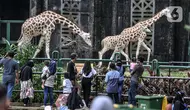 Cek Daftar Lengkap Tempat Wisata Gratis Menyambut HUT Jakarta ke-499