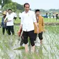 residen Joko Widodo (Jokowi) menanam padi bersama para petani di Kecamatan Merakurak, Kabupaten Tuban, Jawa Timur, Kamis (6/4). (Merdeka.com)