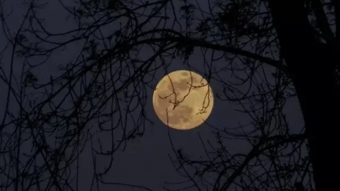 gerhana bulan (foto: unsplash)