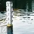 Banjir rob adalah banjir di tepi pantai karena permukaan air laut yang lebih tinggi daripada bibir pantai atau daratan di pesisir pantai.