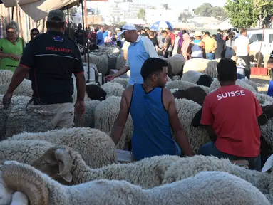 Orang-orang mengunjungi pasar ternak menjelang Hari Raya Idul Adha di Tunis, Tunisia, pada 20 Juli 2020. Hari Raya Idul Adha merupakan salah satu hari raya umat Islam yang dirayakan di seluruh dunia. (Xinhua/Adel Ezzine)