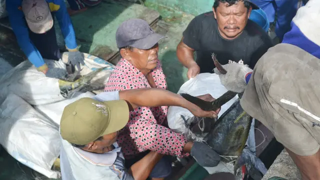Nelayan Cilacap membongkar hasil tangkapan, berupa tuna, tongkol dan cakalang. (Foto: Liputan6.com/Muhamad Ridlo)