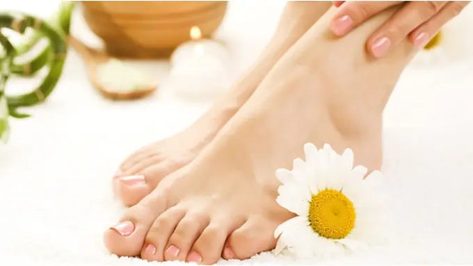 Courtesy ShutterStock.com