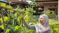 Cara Menanam Oyong dari Biji, Panduan Mudah bagi Pemula yang Ingin Berkebun