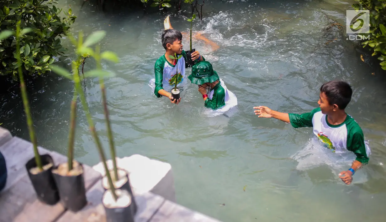 Siswa sekolah dasar menanam mangrove saat kegiatan 100.000 pohon di Area Labirin Pulau Pramuka, Kepulauan Seribu, Jakarta, Rabu (28/11). Kegiatan ini memperingati Hari menanam Pohon Indonesia yang jatuh  28 November. (Liputan6.com/Faizal Fanani)