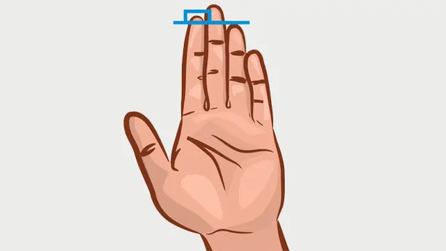 Ungkap Kepribadian Tersembunyi dari Panjang Jari Tangan
